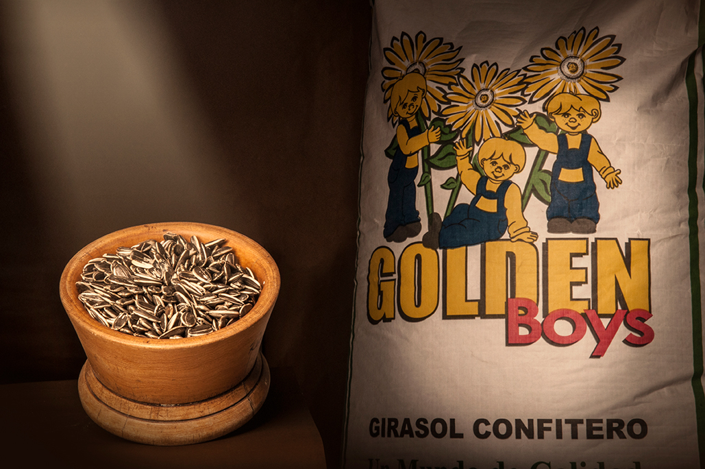 Girasol Golden Boys